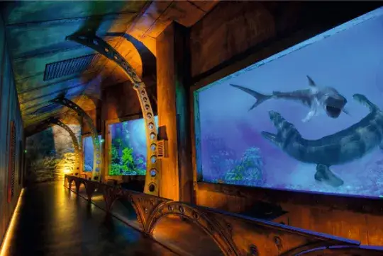 Oceanarium Warszawa Blue City – aktualne informacje i atrakcje