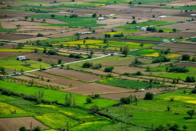 Ile kosztuje przekształcenie działki rolnej na budowlaną 10 arów? Sprawdź koszty!
