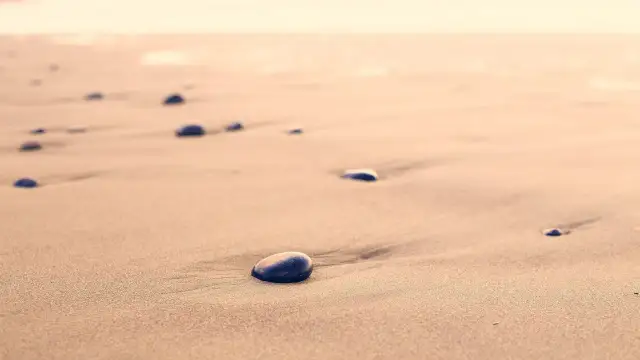 Spacer dziką plażą Stana Borysa - O czym naprawdę jest ten hit?