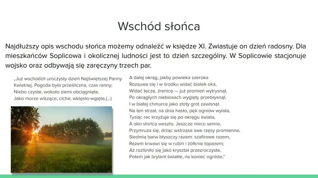 Przyroda w Panu Tadeuszu - Dlaczego nie jest tylko tłem?
