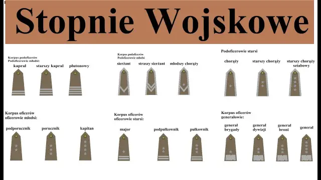 Pierwszy stopień wojskowy po studiach? Poznaj podporucznika!