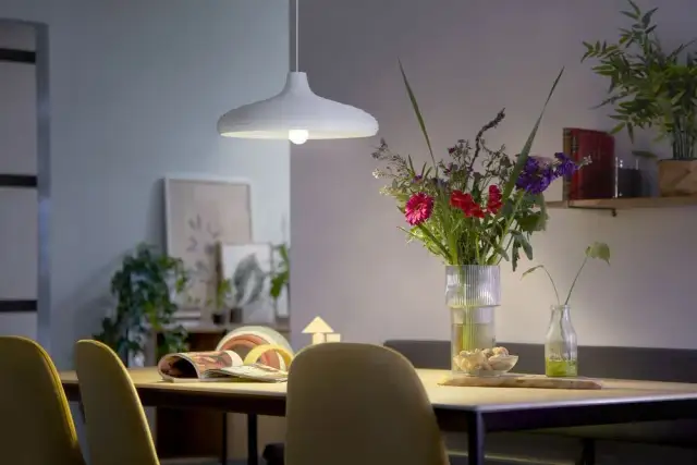 Żarówka energooszczędna Philips 18W - najlepsze modele i ceny