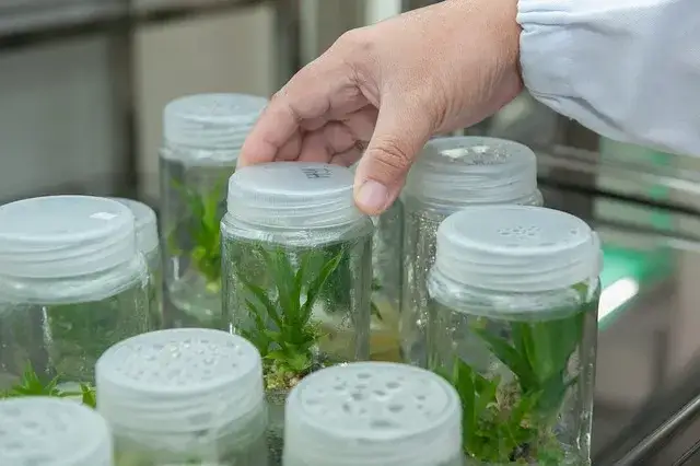Czy po biotechnologii można uczyć w szkole? Sprawdź wymagania!