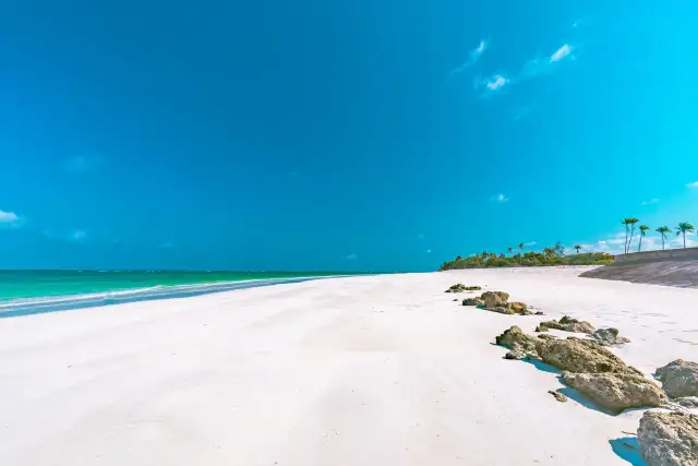 Kiedy jechać do Kenii? Najlepsze okresy na safari i plażowanie
