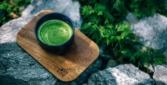 Matcha jaką kupić: unikaj najczęstszych błędów przy wyborze