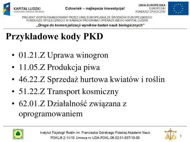 Kody PKD zwolnione z ZUS: Uniknij wysokich składek i zaoszczędź pieniądze
