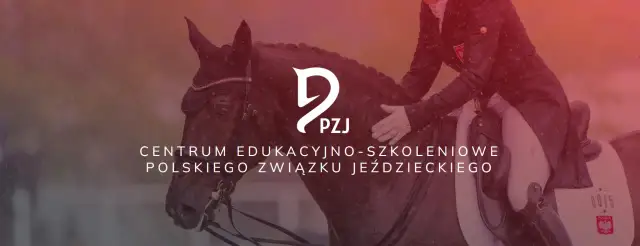 Akademia jeździecka - odkryj tajniki skutecznego szkolenia jeździeckiego