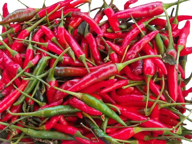 Quel pays mange le plus épicé ? Les cuisines qui réchauffent le cœur