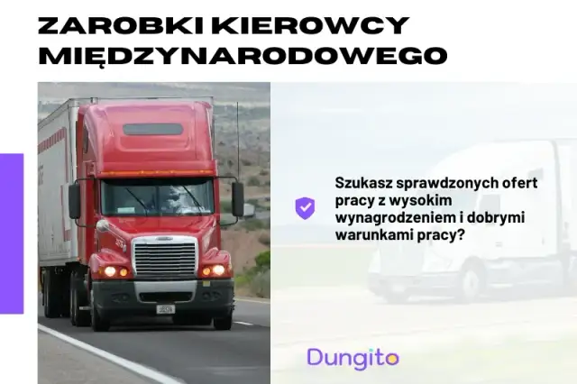 Ile zarobisz w transporcie? Kierowca (8-12 tys.) i zysk firmy (300 tys.)