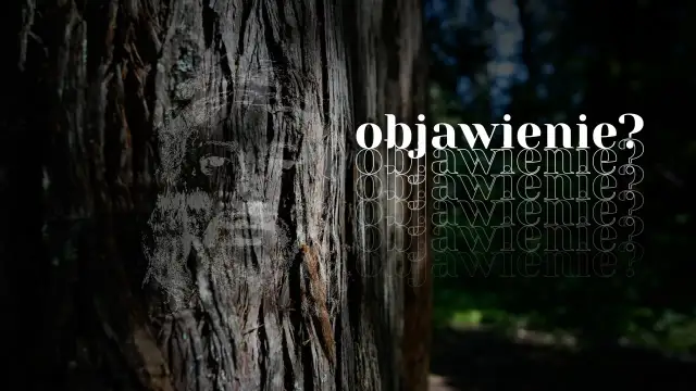 Na pniu drzewa widnieje twarz, jakby objawienie. Obok powtarza się słowo "objawienie?".