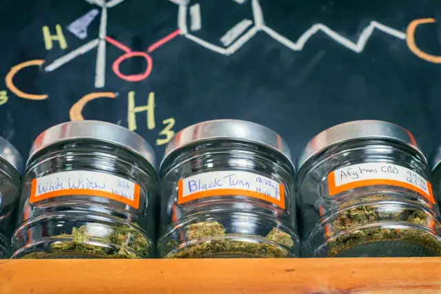Medyczna marihuana: Czy wywołuje "fazę"? Wyjaśniamy efekty