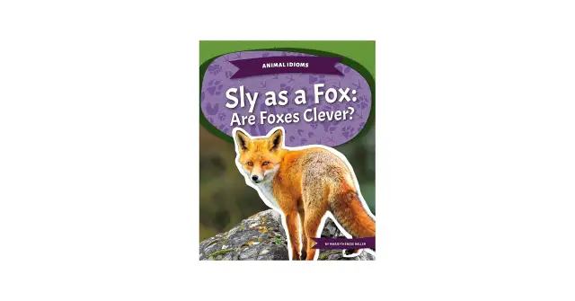 Rudy lis na kamieniu, okładka książki "Sly as a Fox: Are Foxes Clever?".