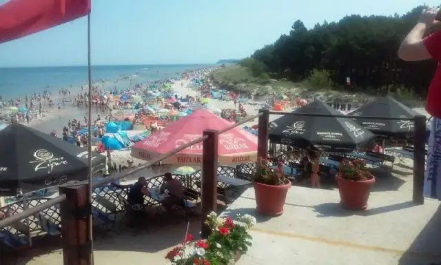 Karwia gdzie zjeść – najlepsze miejsca na pyszne posiłki nad morzem