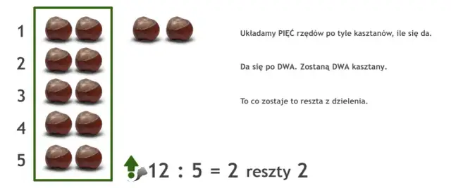 Ilustracja przedstawia kasztany ułożone w rzędy i działanie matematyczne 12:5=2 reszty 2.