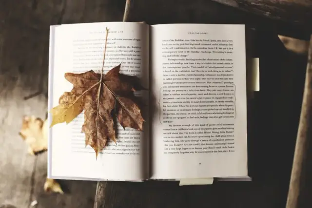 Co to jest literatura faktu? Poznaj jej tajemnice i cechy