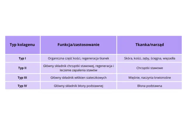 Tabela porównująca typy kolagenu: I (skóra, kości), II (chrząstki stawowe), III (mięśnie), IV (błony). Pomaga zdecydować, jaki kolagen wybrać.