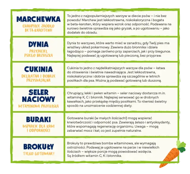 Bezpieczne warzywa dla psa: lista, przygotowanie i porady
