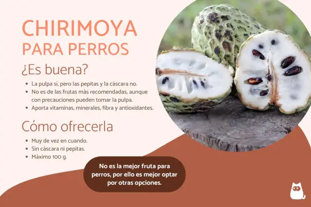 Chirimoya para perros: la pulpa es comestible, pero sin pepitas ni cáscara. No es la fruta más recomendada, aunque aporta nutrientes.