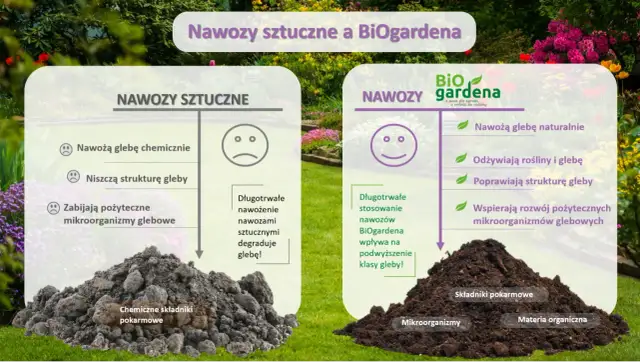 Porównanie nawozów sztucznych i BiOgardena. BiOgardena to nawóz organiczny, który naturalnie odżywia rośliny i glebę, poprawiając jej strukturę.