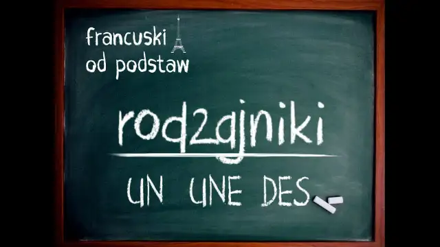 Rodzajniki określone i nieokreślone francuski - kluczowe różnice i zasady