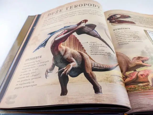 Najlepsza książka o dinozaurach dla dzieci - Jak wybrać mądrze?