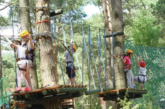 Park Linowy Doktorce: Rodzinna przygoda? Pełny przewodnik i porady!