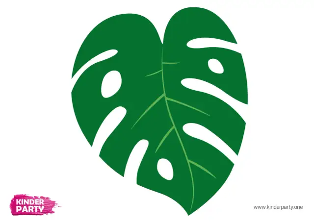 Grünes Monstera-Blatt mit Schlitzen und Löchern auf weißem Hintergrund.