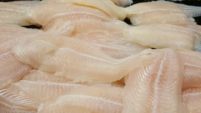 Panga i tilapia: Czy warto je jeść? Ryzyko i zdrowe wybory