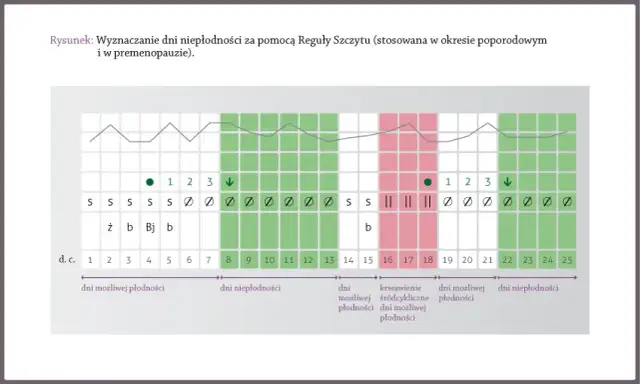 Owulacja po okresie? Jak obliczyć dni płodne i rozpoznać objawy