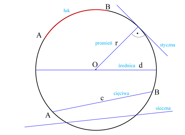 Ilustracja geometryczna z okręgiem, promieniem, średnicą, łukiem, cięciwą, sieczną i styczną.