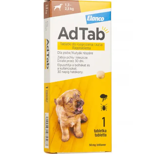 Kleszcze u psa: Tabletki, obroże, krople? Wybierz mądrze!