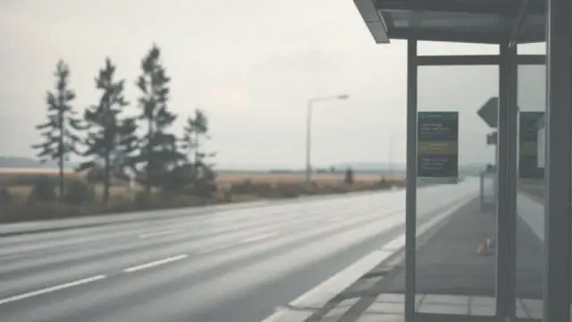 Jak dojechać z Gdańska do Stegny - najwygodniejsze opcje transportu