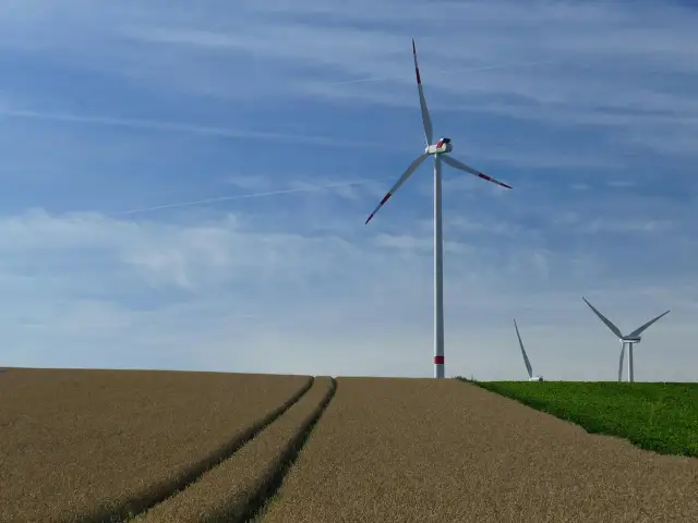 Turbina wiatrowa na polu - Czy to się opłaca i jak uniknąć błędów?