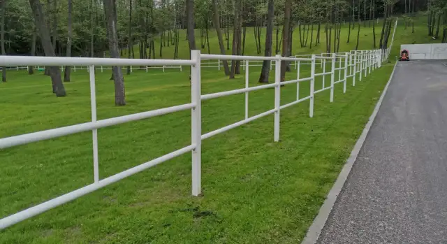 Wybieg dla koni - Jak zaplanować bezpieczne podłoże bez błota?