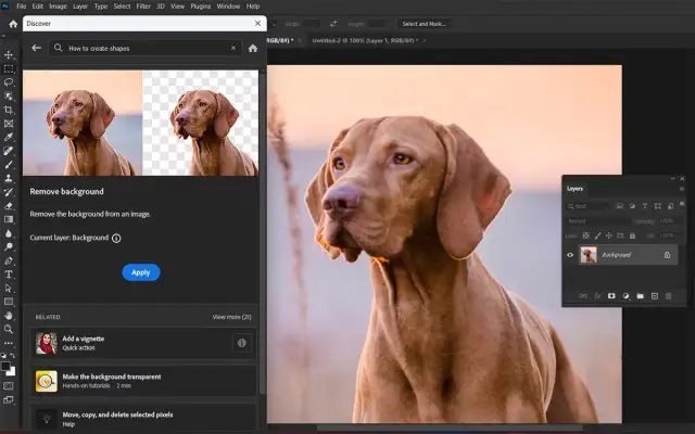 Jak wyciąć w Photoshopie? Od AI po Pióro wybierz metodę!