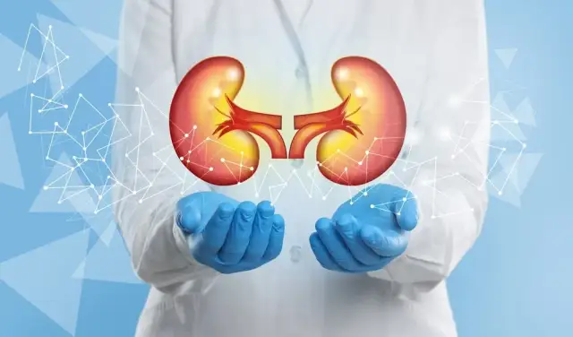 Urolog: Kto to jest? Obal mity, poznaj objawy i przygotuj się!