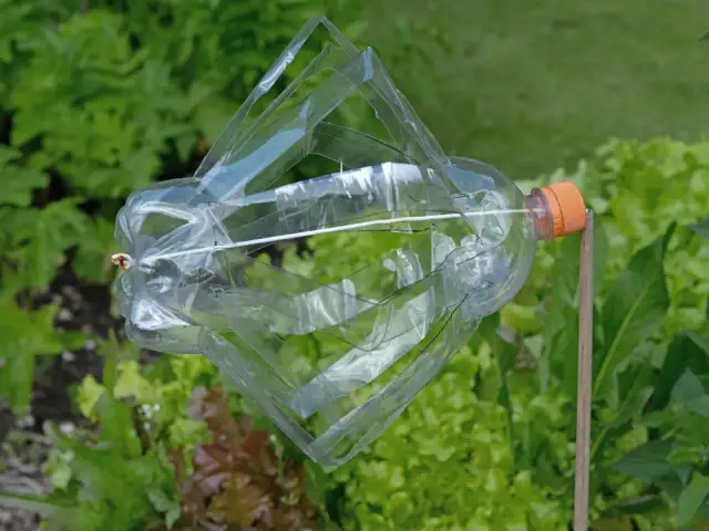 Jak zrobić wiatrak z butelki? Prosty poradnik DIY
