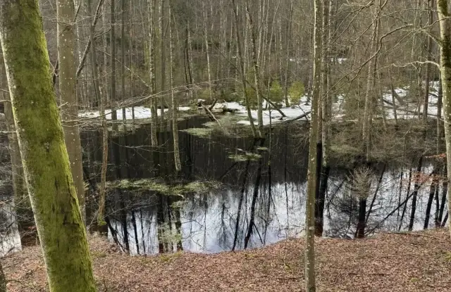 Rezerwat przyrody Lubygość: piękne krajobrazy i unikalna fauna