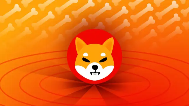 Shiba Inu kryptowaluta: dlaczego warto inwestować i co musisz wiedzieć