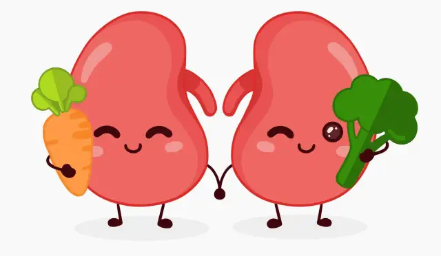 Dwa uśmiechnięte nerki trzymają marchewkę i brokuły. To symbol zdrowej diety niskobiałkowej.