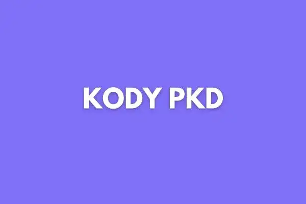 Jaki kod PKD dla sprzedaży internetowej? Uniknij błędów w rejestracji