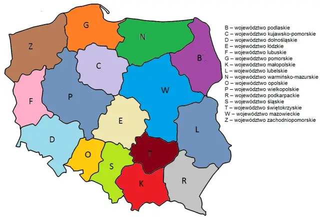 Tablica WOS - Co oznacza ten kod i dlaczego bywa mylący?