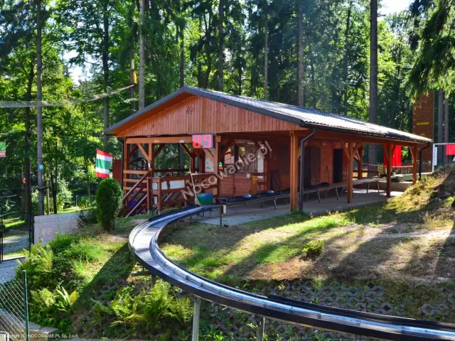 Czarodziejska Góra Jedlina-Zdrój: Park linowy dla rodzin przewodnik
