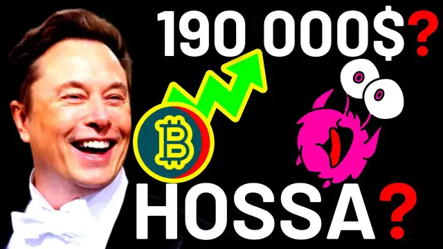 Hossa kryptowaluty co to? Zrozum, jak wpływa na inwestycje