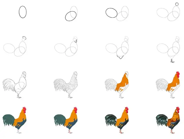 Huhn zeichnen lernen: Einfache Schritt-für-Schritt-Anleitung