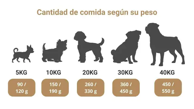 Siluetas de perros de distintos tamaños, de 5 a 40 kg, con la cantidad de alimento recomendada para la dieta ideal de los cachorros.