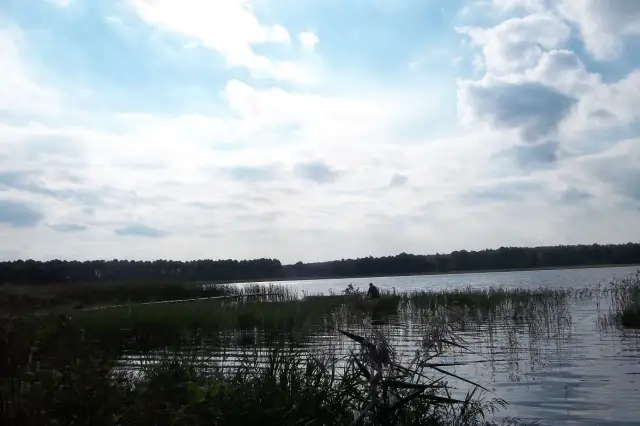 Spokojne jezioro Zagłębocze otoczone lasem, z trzcinami na brzegu i samotnym wędkarzem.