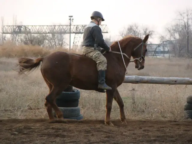 Chody szybsze od stępa - Jak rozpoznać kłus i galop w siodle?