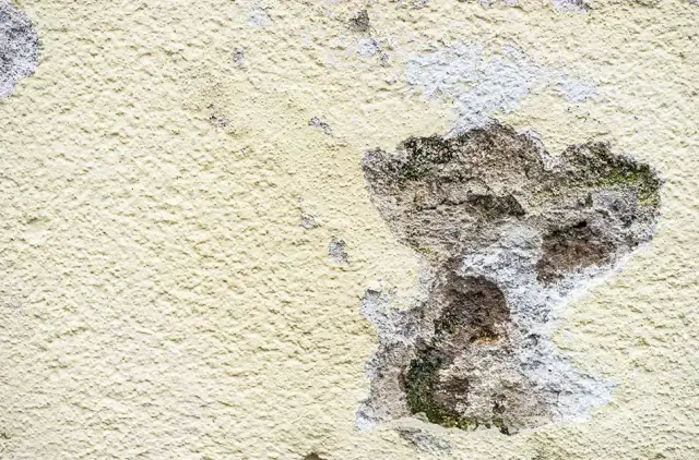 Jak naprawić dziurę w elewacji - uniknij kosztownych błędów w remoncie