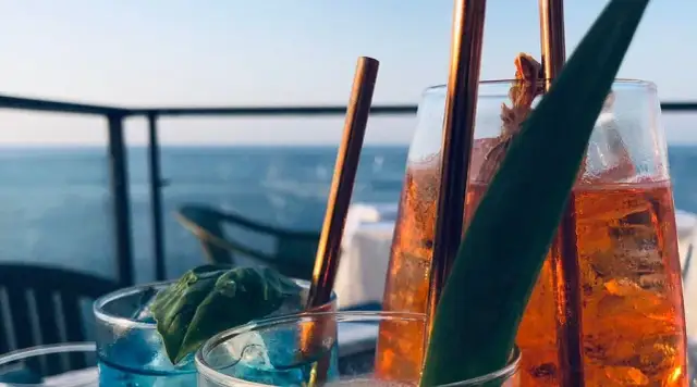 Canopia: Habitat Gastronomico con Vista Mare da Sogno